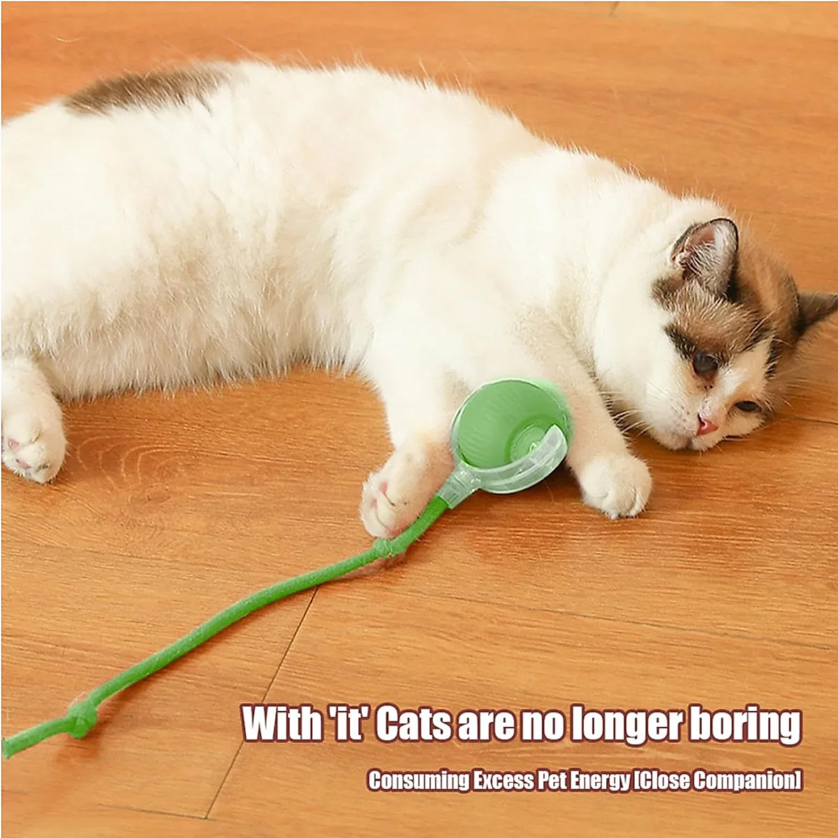 Interactive Rolling Cat Ball - Image 3